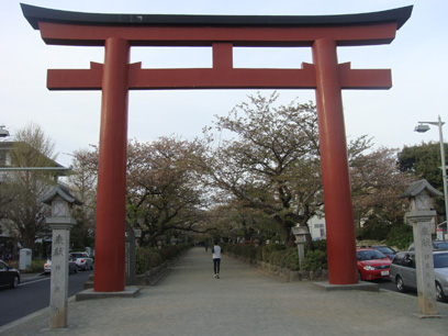 若宮大路の画像